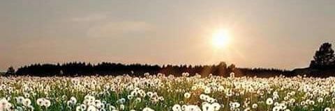 marcimell's profile banner image