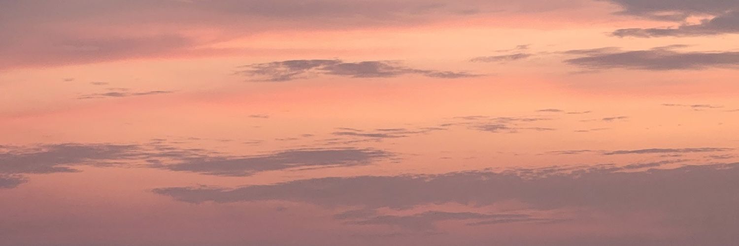 drrenukag's profile banner image