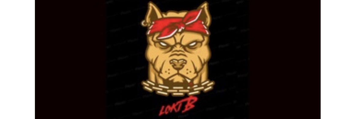 Loki_Brasi3's profile banner image