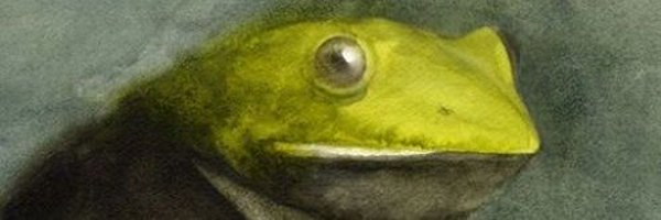 joshkontrol Profile Banner