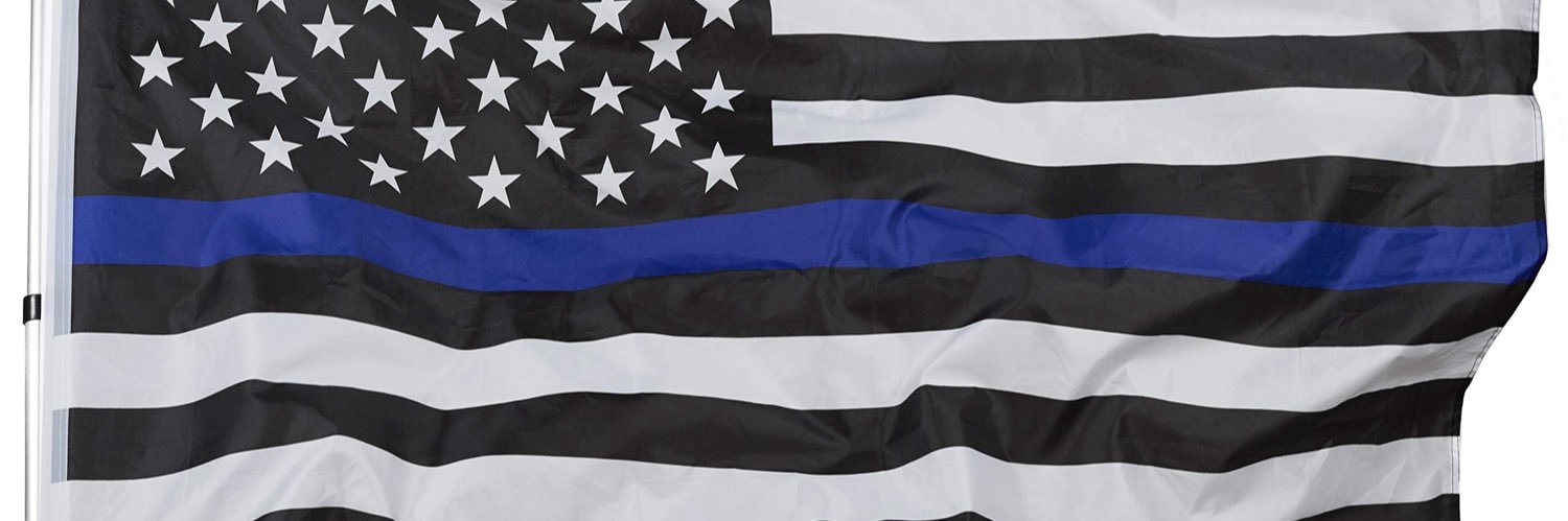 31BRAVOSGT banner