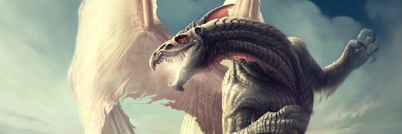 fighters91's profile banner image
