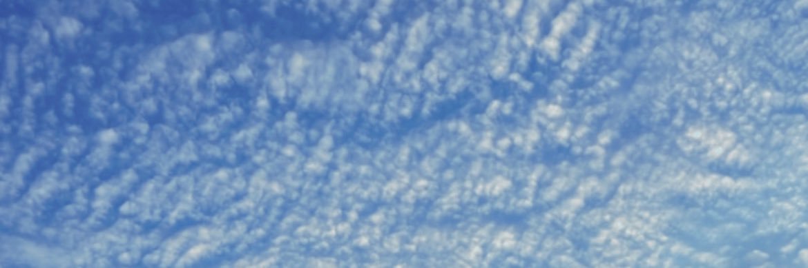 cookiecroes's profile banner image