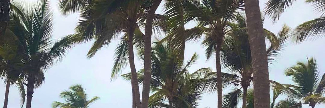 Micaela Vincenti banner