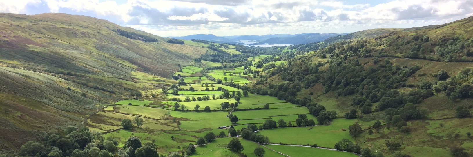 James Boyd-Wallis banner