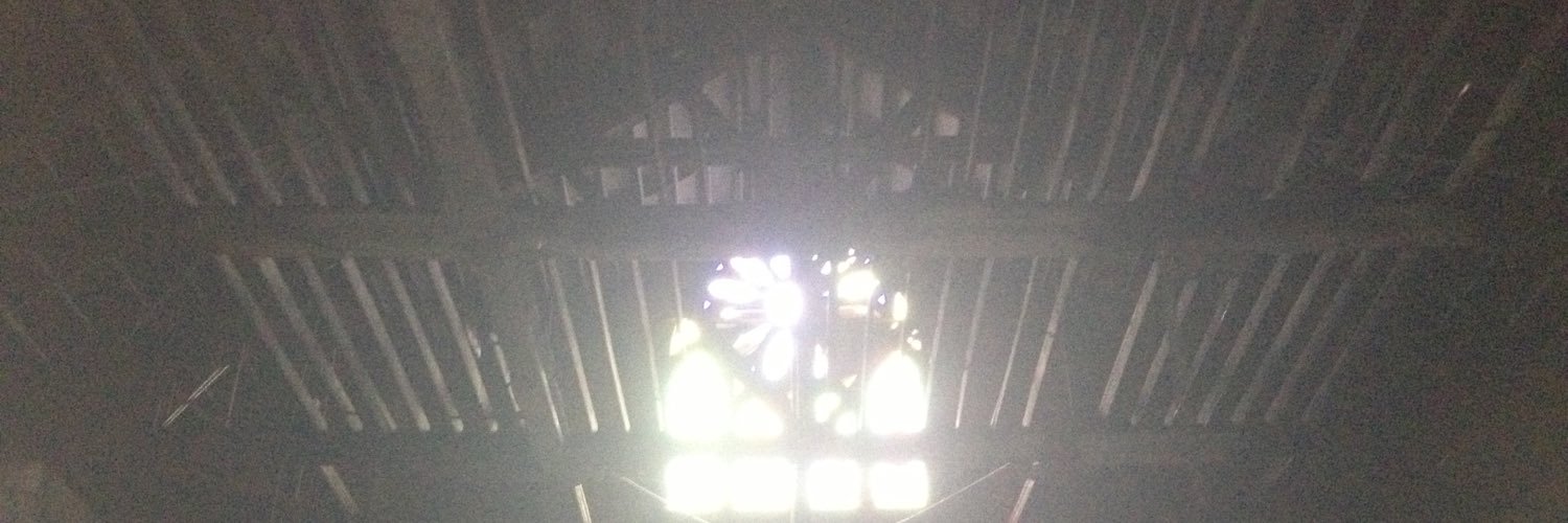 Haven Harrington banner