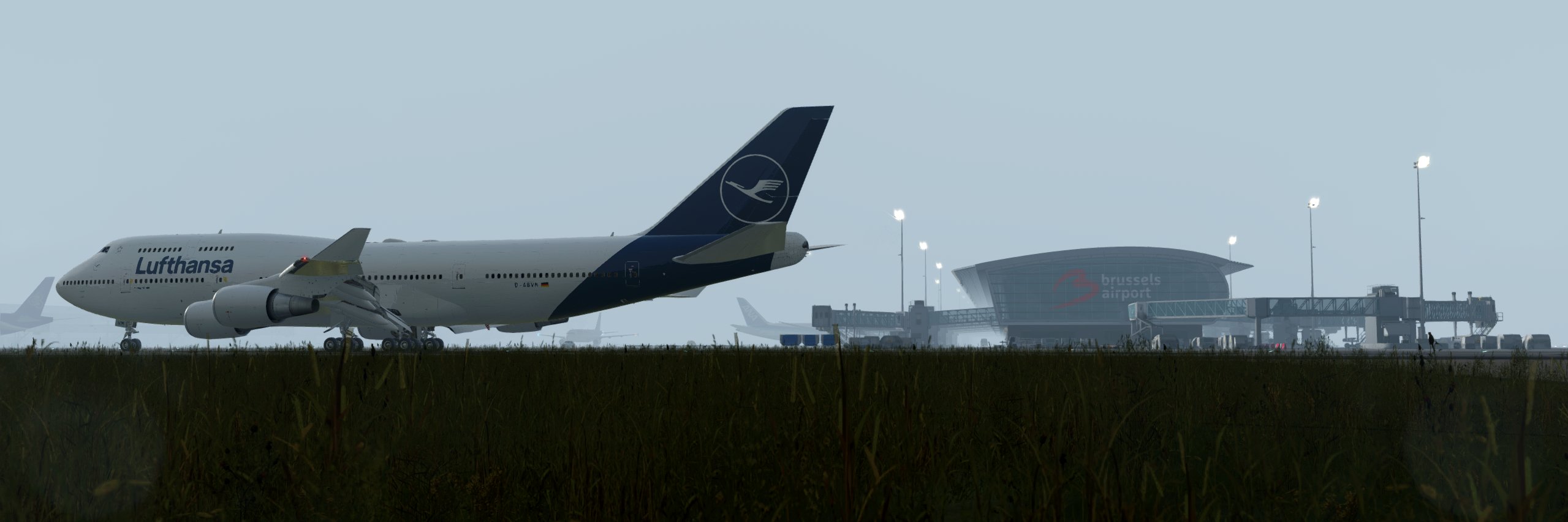 MangustaZtropikow banner