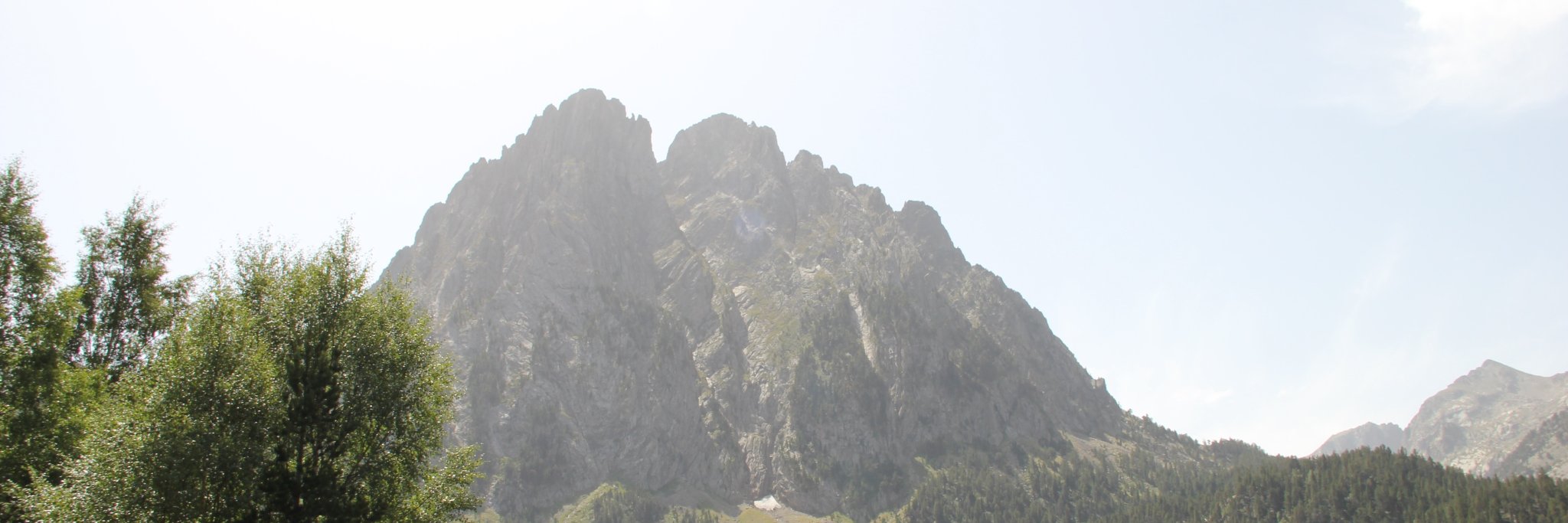 Ramsés Català banner