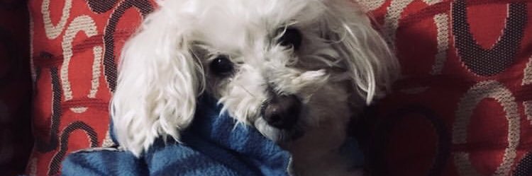 Matildeagcs's profile banner image