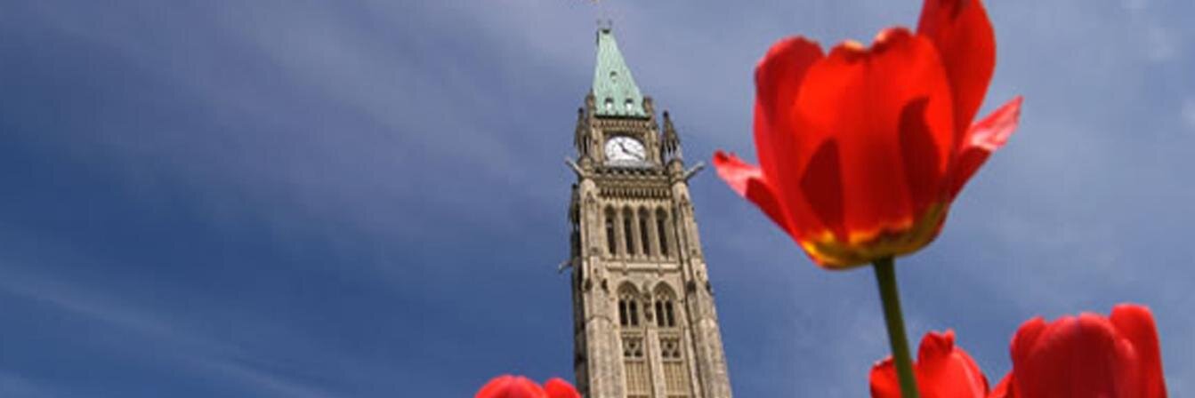 The Progressives banner