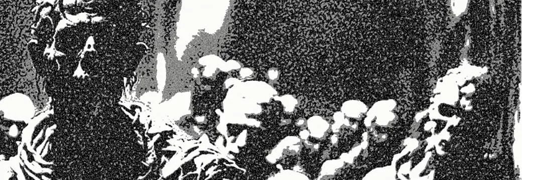 VanskaM's profile banner image