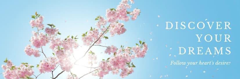 Elaina S. Chattman, Ed.S banner