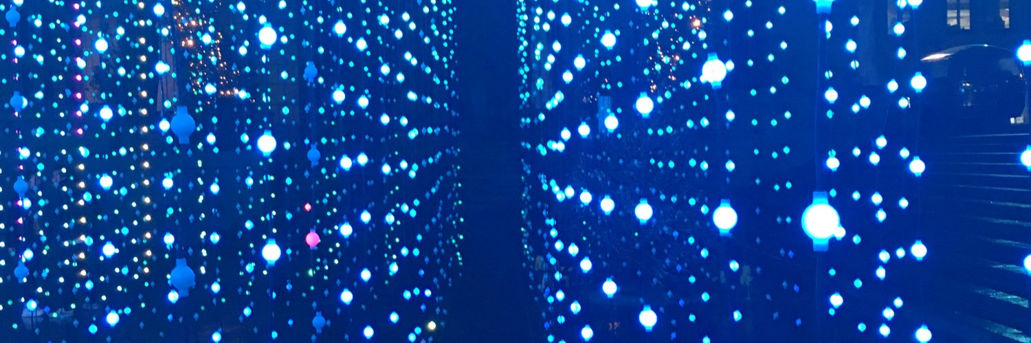 Verena Nierle banner