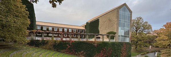 FranNunesEcon Profile Banner