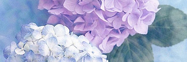 ___jmoka's profile banner image