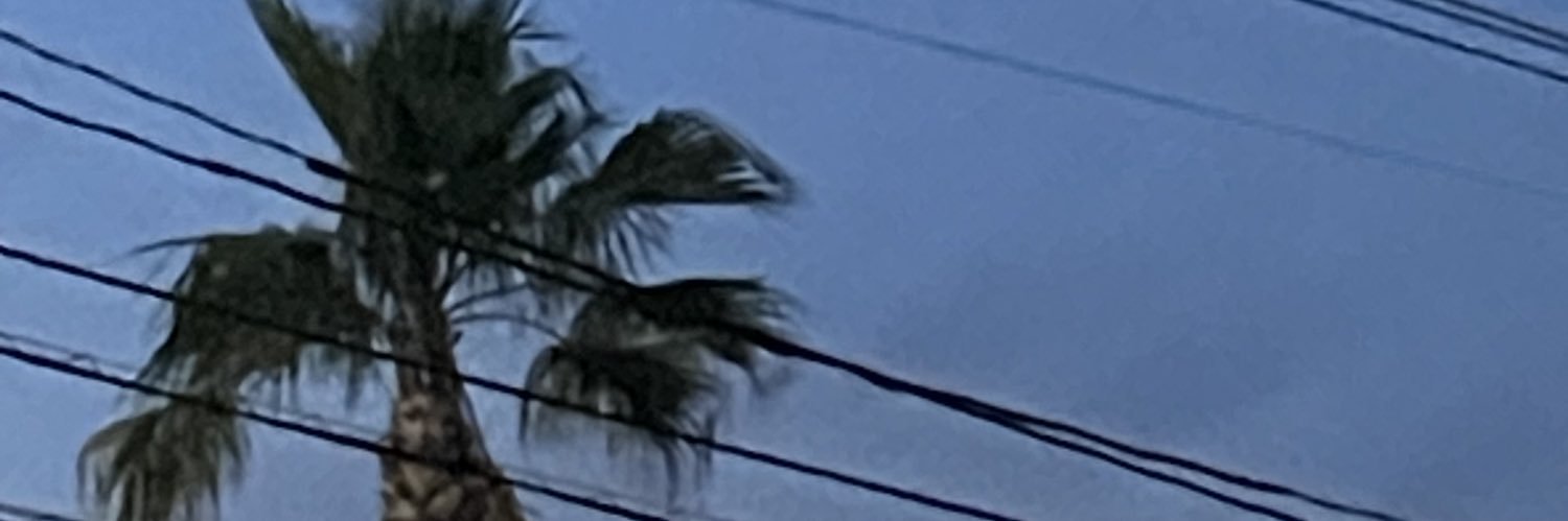 Cee Scotch banner