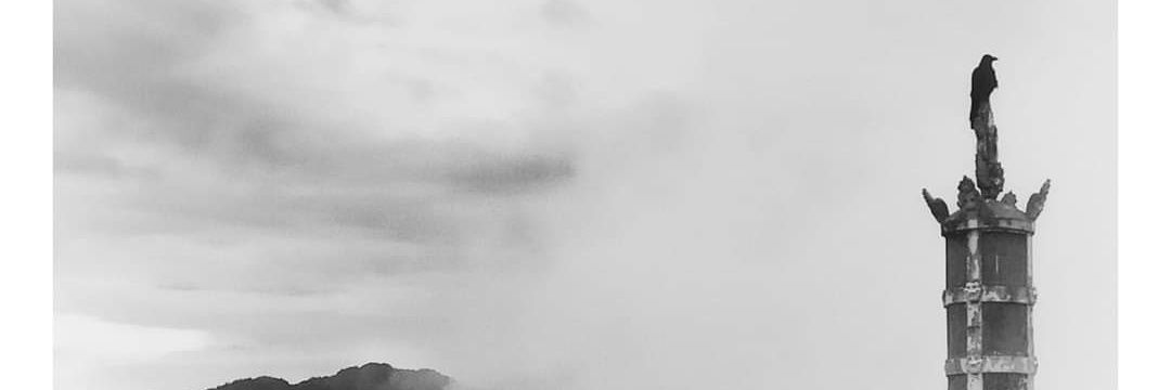 Sonia_Aloud's profile banner image