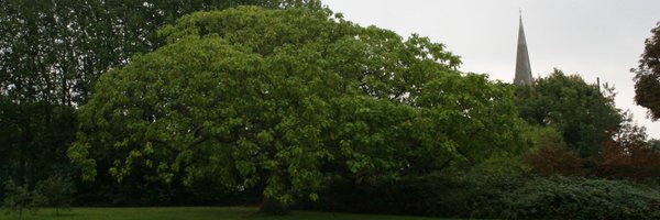 StMatthewsSurb Profile Banner