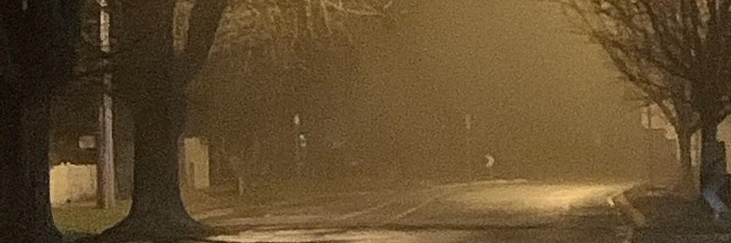 bluntsuccahoe's profile banner image