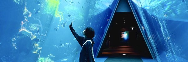 t25_aoi Profile Banner