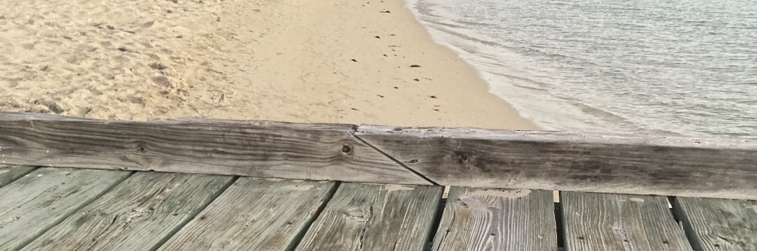 MerYLav15's profile banner image