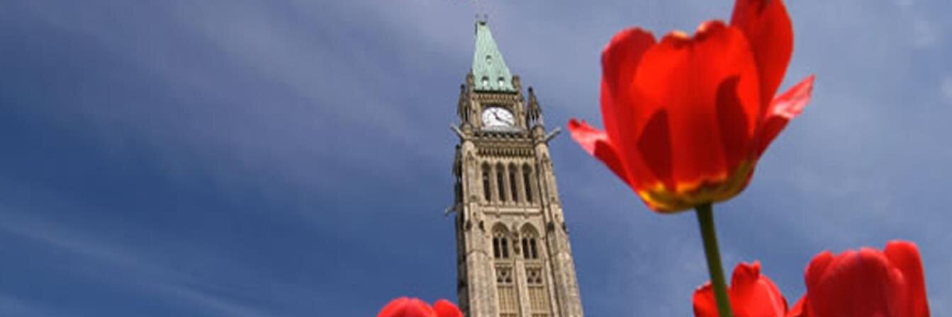 Les progressistes banner