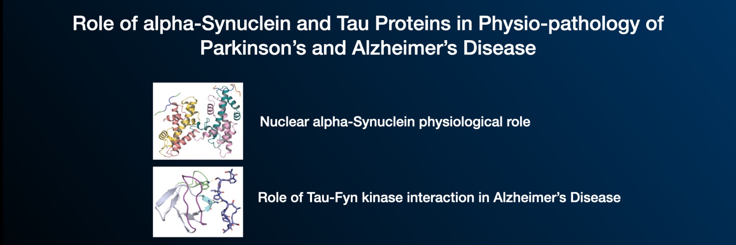 Sivaraman Padavattan banner