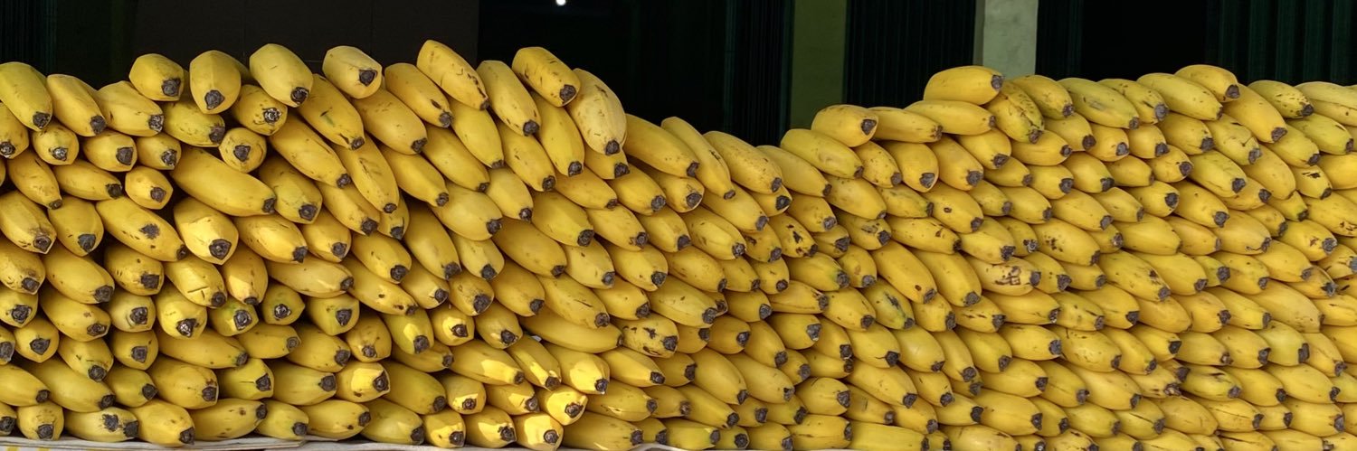 bangkit banner