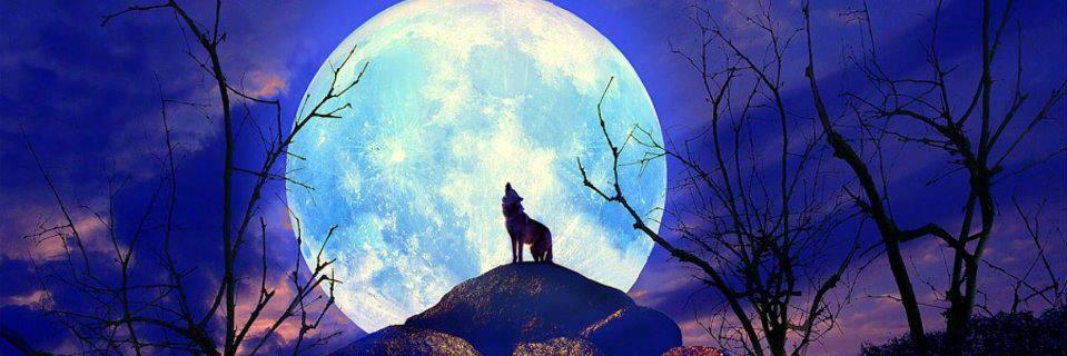 💕 X69_Jack_69X 💕 banner