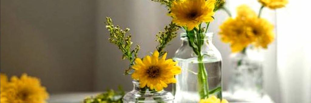 T42780998's profile banner image