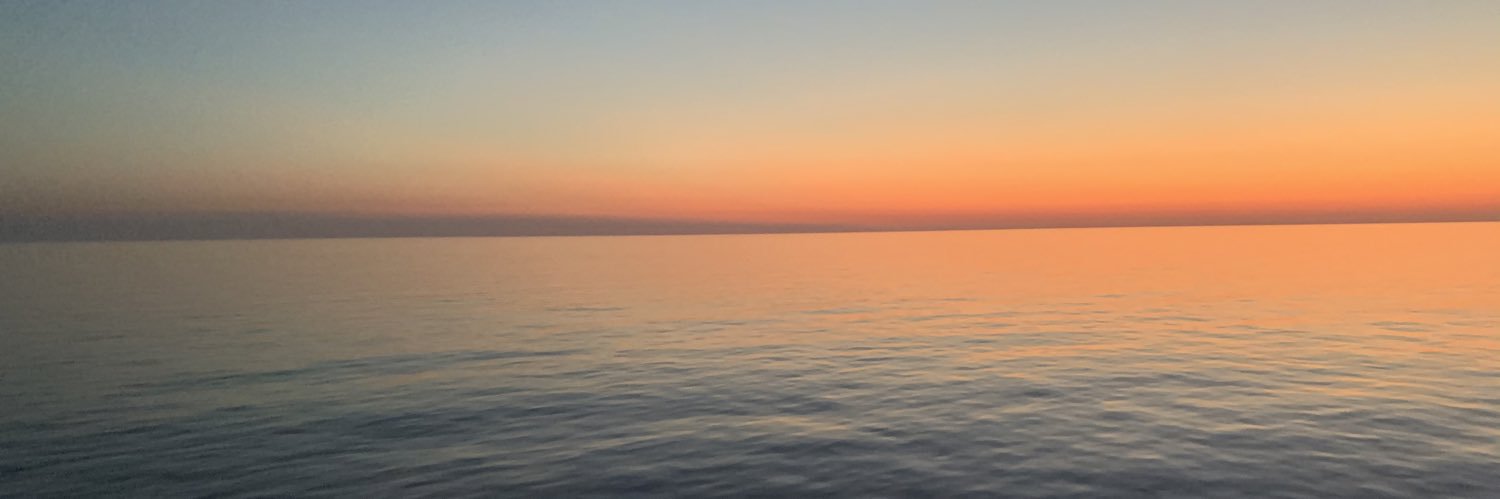 skylaur banner