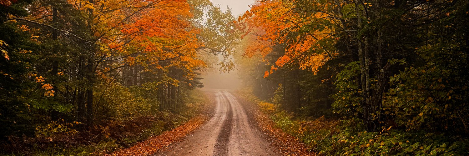 Producer @ Avoiding Babylon banner