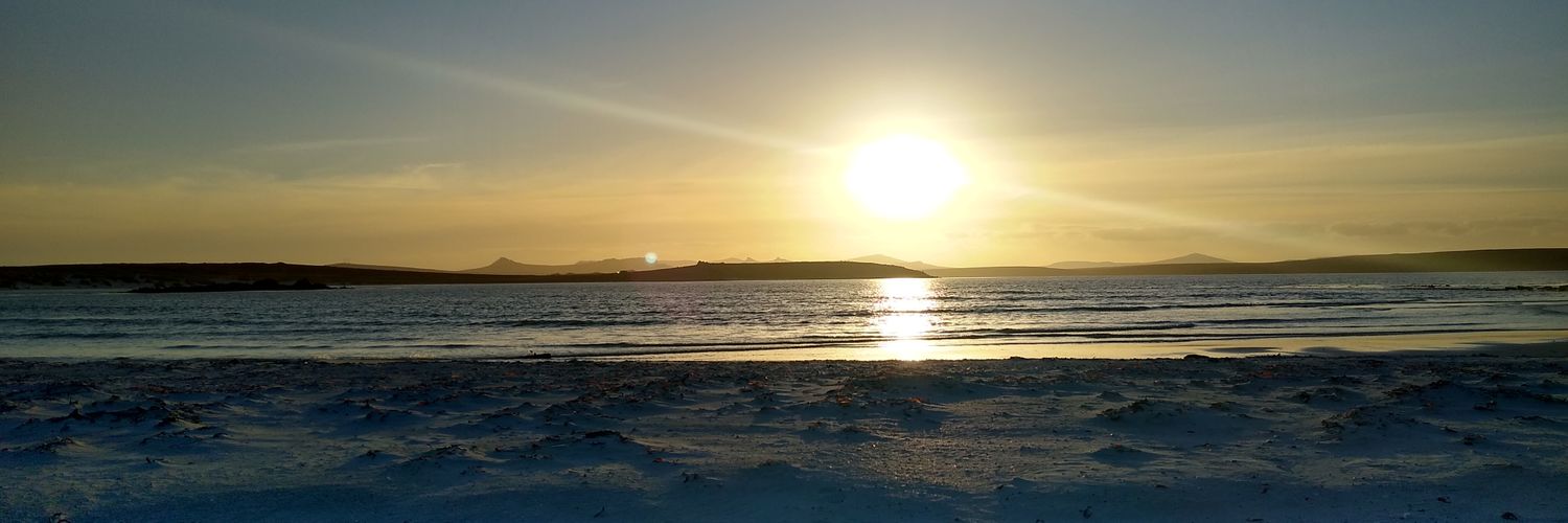 JennyCFalklands's profile banner image