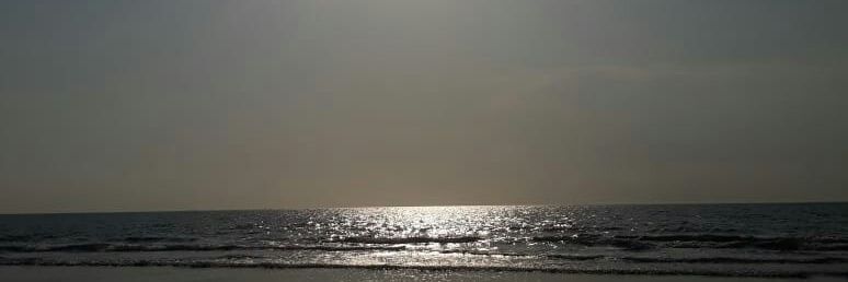 antisistemaaaaa's profile banner image