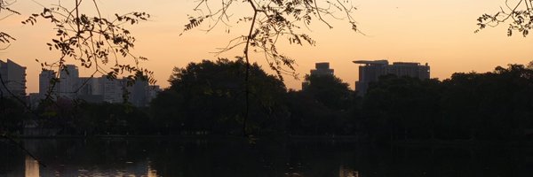 radubakker Profile Banner