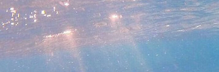 yum_mer's profile banner image
