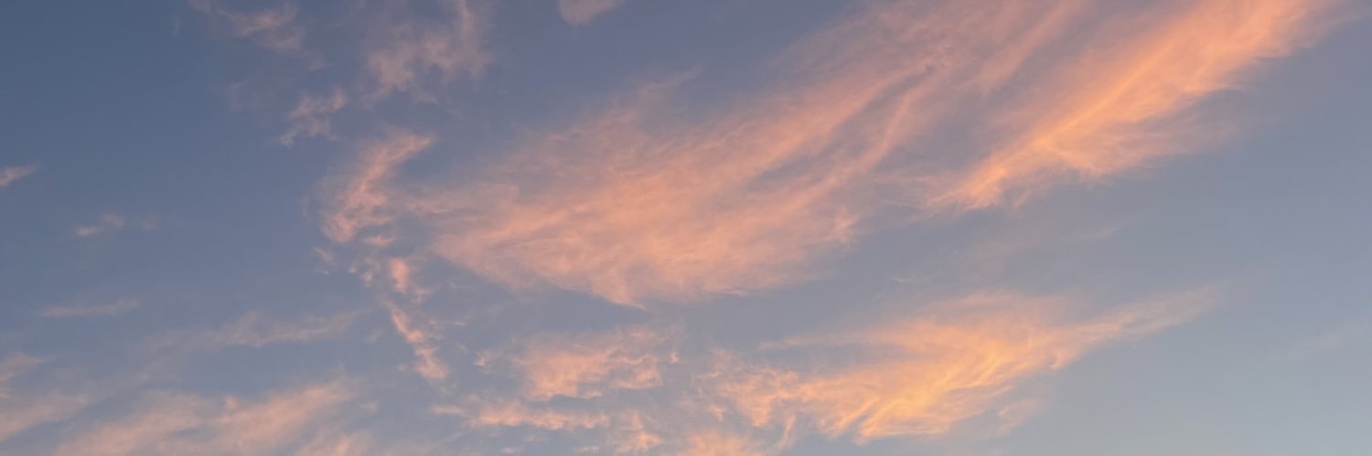 just_elva's profile banner image