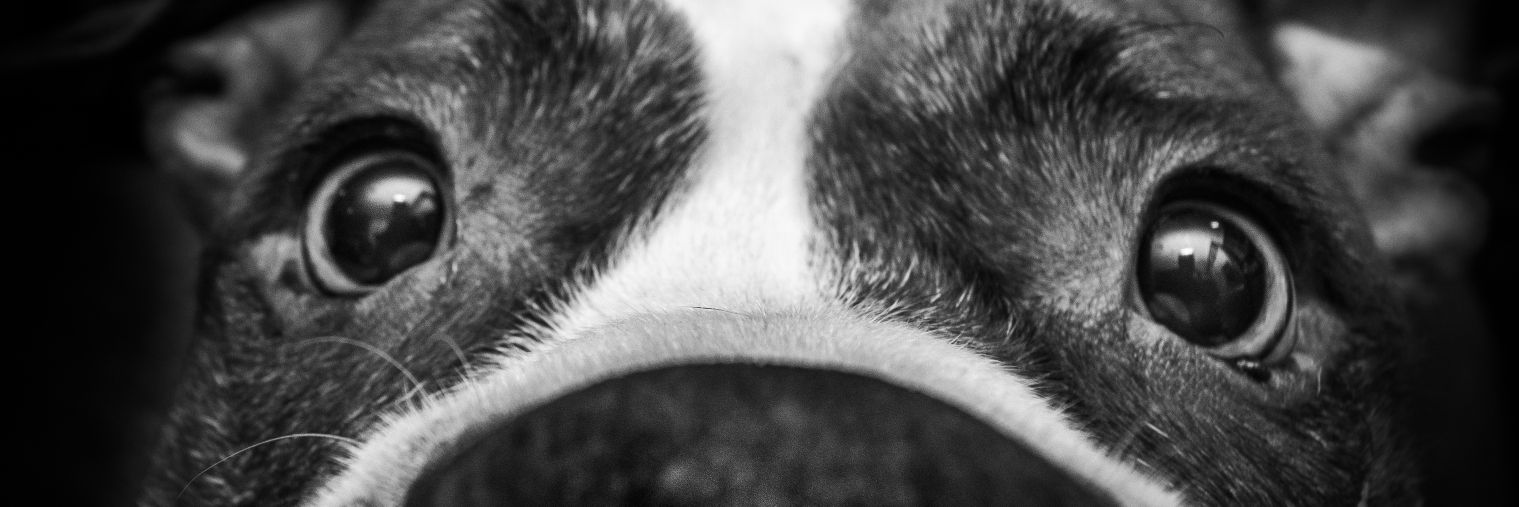 sketch74's profile banner image