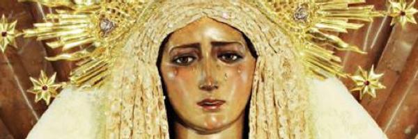 pititotis Profile Banner