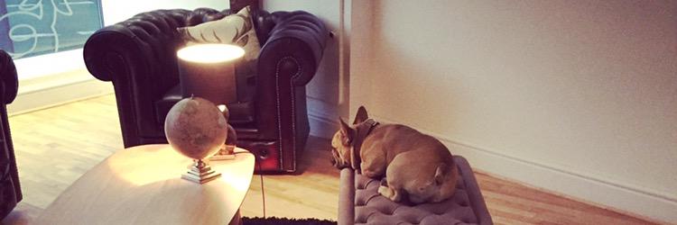 PeterMorganEA banner