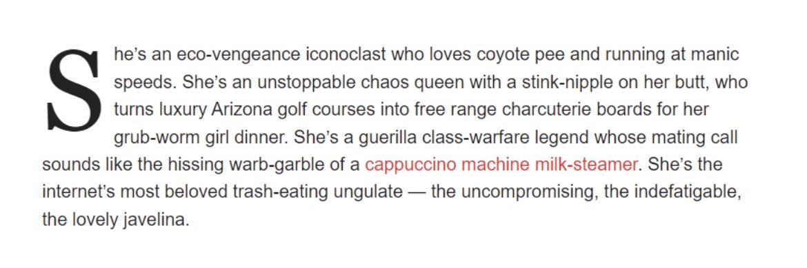 Anne 🐗🐍🦃 banner