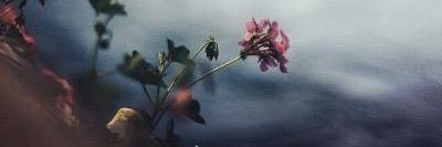 saeed14844332's profile banner image