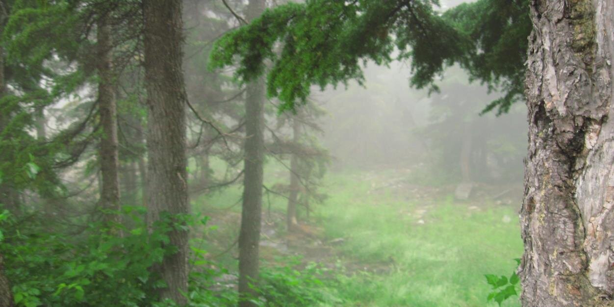 rararaLki's profile banner image