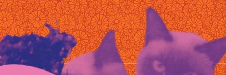 dunkaisonline banner