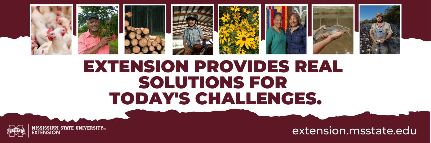 MSU Extension banner