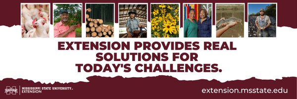 MSUExtService Profile Banner