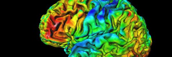 lockhartbrains Profile Banner