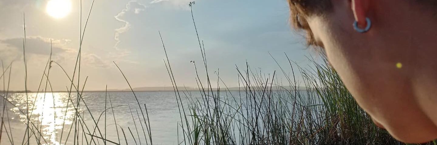 leoklaser's profile banner image