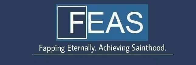 Feas banner