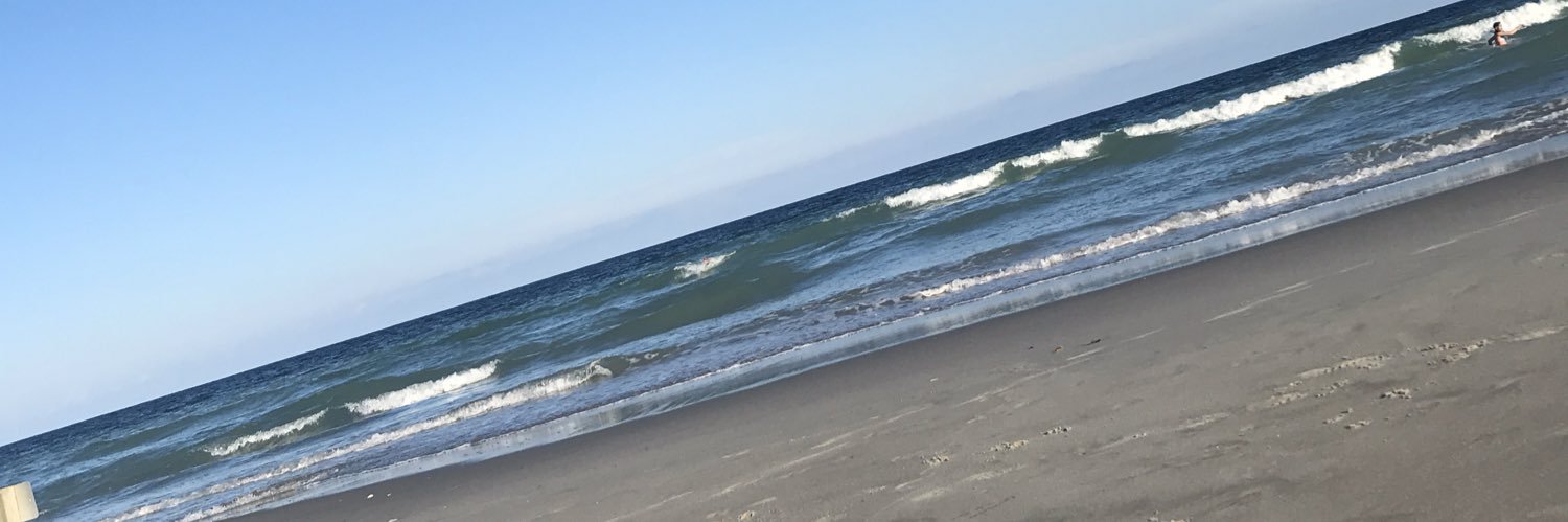 Joann Bost banner